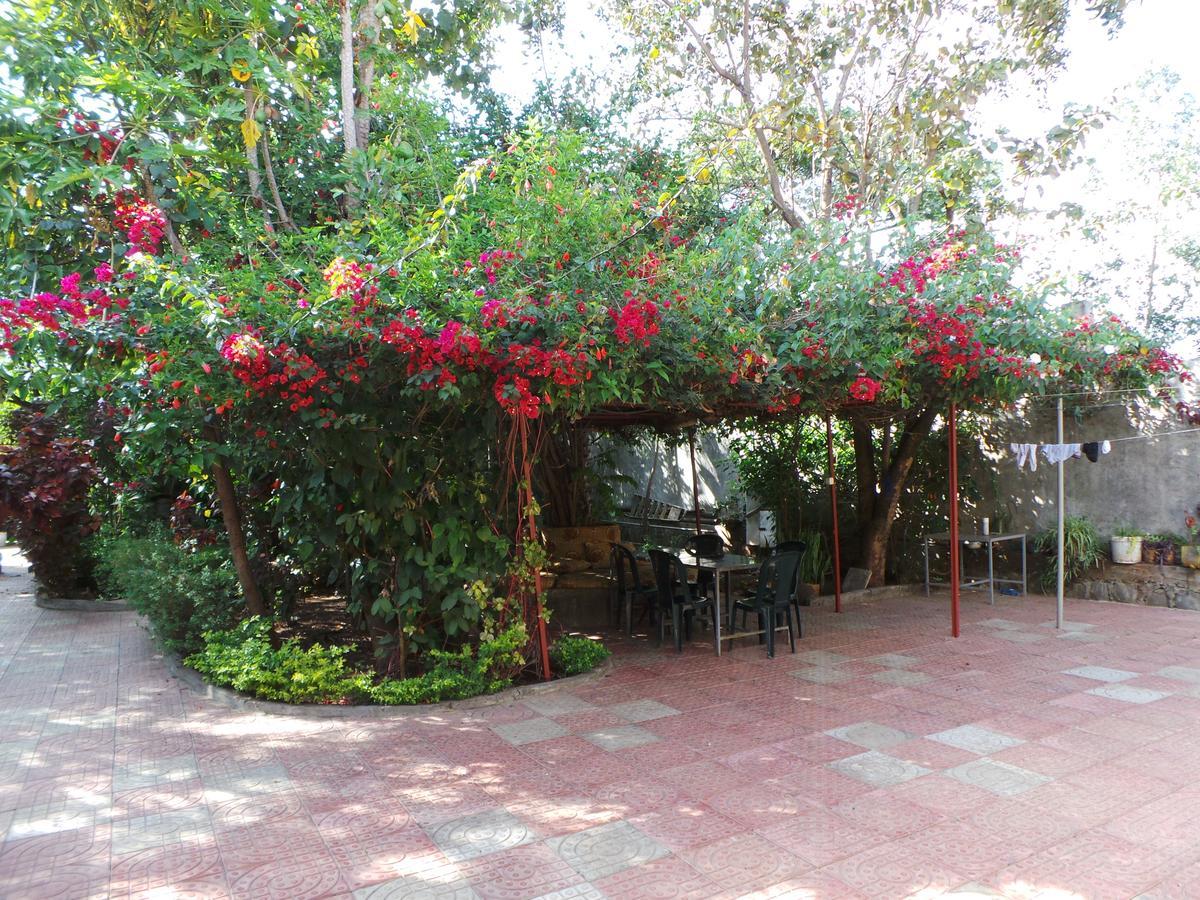 B&B The Annex Bahir Dar Exteriér fotografie