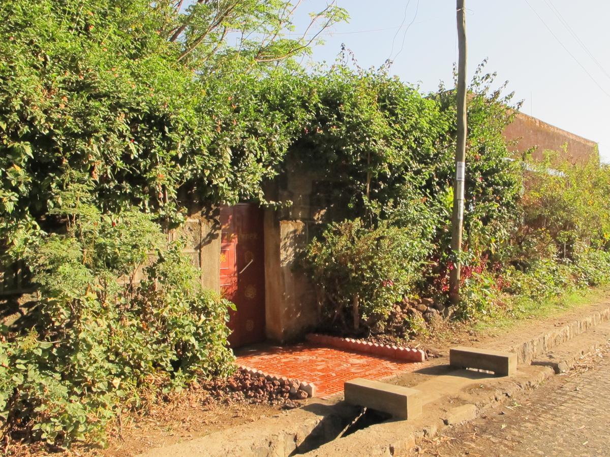 B&B The Annex Bahir Dar Exteriér fotografie